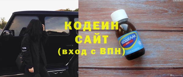амф Гусь-Хрустальный