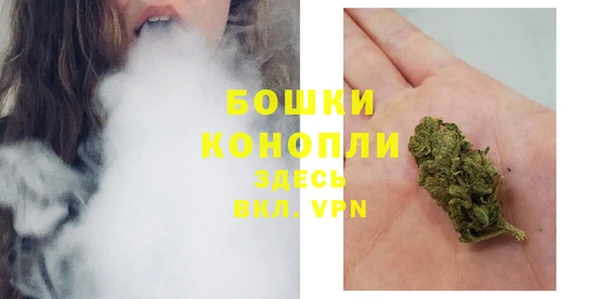 соль ск Дмитровск