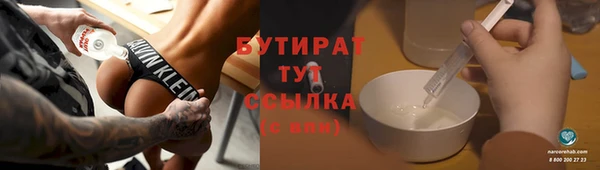 амф Гусь-Хрустальный