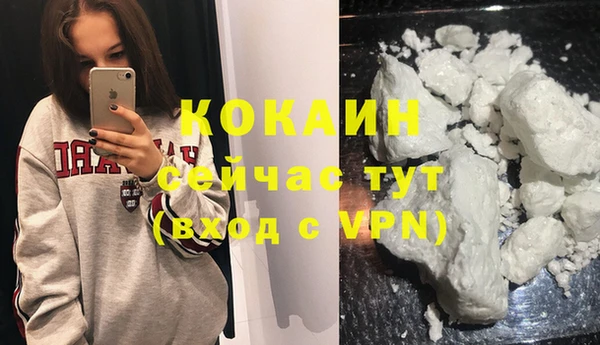 скорость Гусев