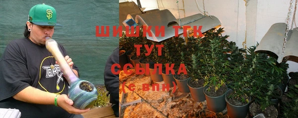 тгк Дмитров