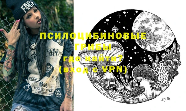 амф Гусь-Хрустальный