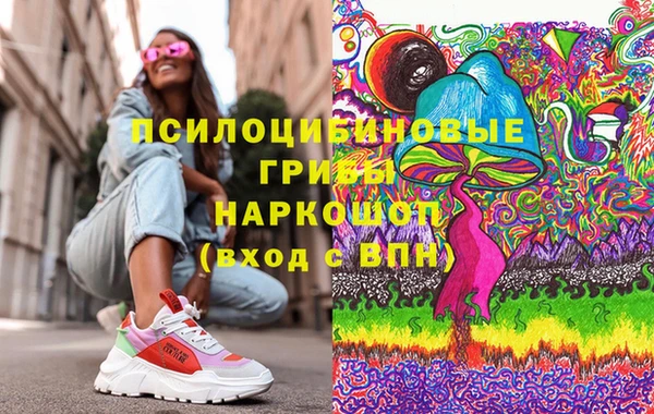 амф Гусь-Хрустальный