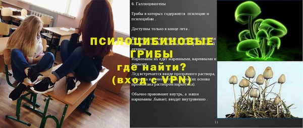 амф Гусь-Хрустальный