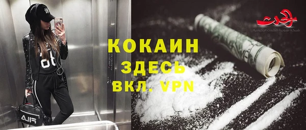 амф Гусь-Хрустальный