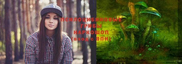 амф Гусь-Хрустальный